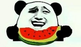 娱乐吃瓜酱有些苦能吃,揭秘“娱乐吃瓜酱”的独特风味